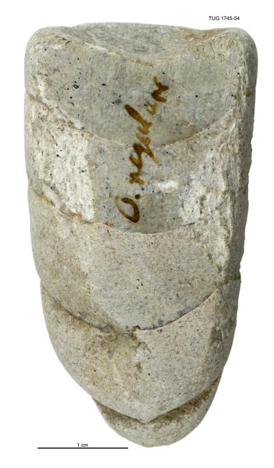 https://files.geocollections.info/large/e0/fa/e0fac121-0f80-4882-b117-eeffc75ea546.jpg