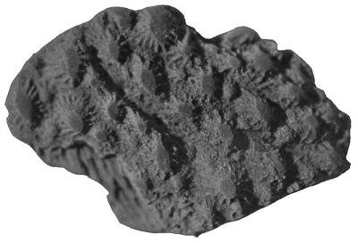 https://files.geocollections.info/large/e1/48/e1484c36-e9e1-443a-af34-987ec39fc79a.jpg