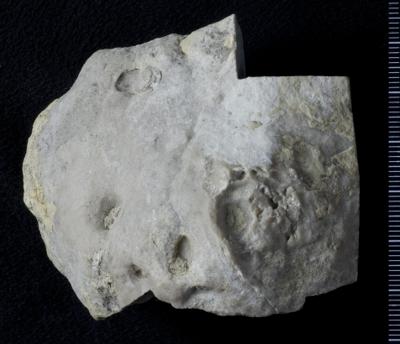 https://files.geocollections.info/large/e1/83/e183cff4-fb76-4ae5-90d0-8d3722bc7da2.jpg