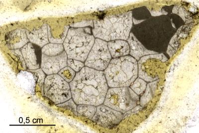 https://files.geocollections.info/large/e2/42/e242a901-fd7e-4a61-bcc9-f3d36dc17417.jpg