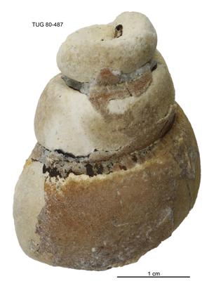 https://files.geocollections.info/large/e2/7d/e27d622d-fb84-430d-8bea-987b894d89f2.jpg