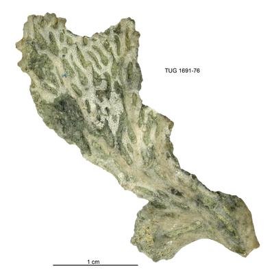 https://files.geocollections.info/large/e2/aa/e2aa6795-0125-434f-8469-1f6e35959234.jpg