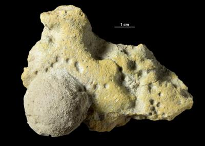 <i></i><br />Simankovo, Leningrad Oblast,  m, Volkhov Stage