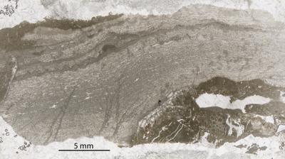 https://files.geocollections.info/large/e2/d5/e2d58668-2863-4621-adeb-0aa4c5219cf7.jpg