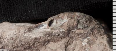 https://files.geocollections.info/large/e2/e4/e2e4873e-0959-4e3a-8592-5ae657714760.jpg