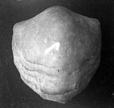 https://files.geocollections.info/large/e2/e7/e2e7ecef-1412-4e68-b2b3-e9b134b5e0ec.jpg