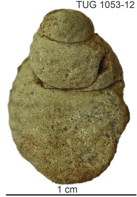 https://files.geocollections.info/large/e2/eb/e2ebf826-c46f-4722-b221-c233955c2e13.jpg
