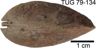 https://files.geocollections.info/large/e3/07/e307f642-55dc-4b40-83b9-75a9fbc32370.jpg