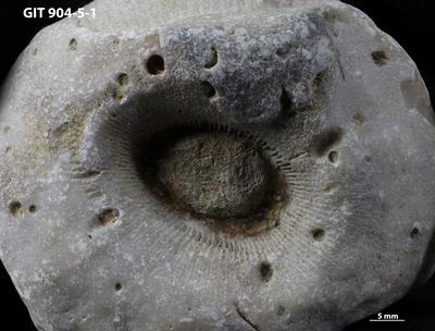 <i></i><br />Rööpli Cliff, Kõinastu,  m, Adavere Stage