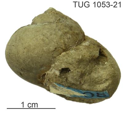 https://files.geocollections.info/large/e3/6f/e36f5128-6216-459b-b8cd-4b1c61e9e402.jpg