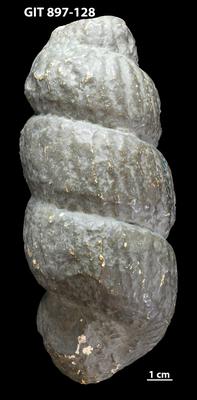 https://files.geocollections.info/large/e3/8d/e38d2342-a7f9-4045-87c3-34e11048b9e7.jpg