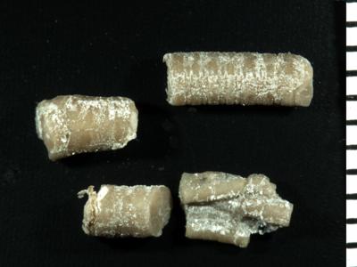 https://files.geocollections.info/large/e3/b1/e3b1ea8c-c2fe-4915-96f9-011222f673a9.jpg