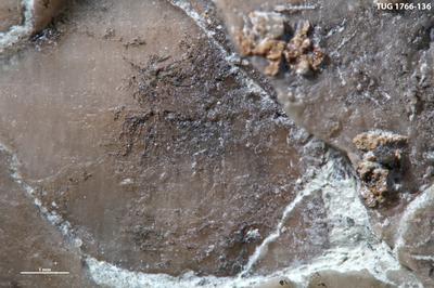 https://files.geocollections.info/large/e4/24/e424382b-d917-4a98-aea7-2b5d1ce1cbf3.jpg