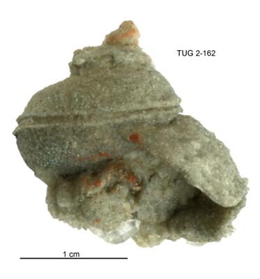 https://files.geocollections.info/large/e4/45/e4458bdb-aa47-40f6-a7f1-098b4f0354b3.jpg