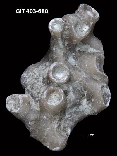 https://files.geocollections.info/large/e4/94/e4940656-2121-45fa-9407-6d1cb4939462.jpg