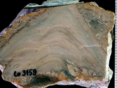 https://files.geocollections.info/large/e5/ca/e5cab079-2971-4016-bbd4-c1ebb2eaf094.jpg
