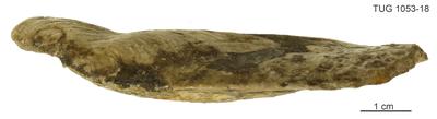 https://files.geocollections.info/large/e6/18/e618fa37-33fa-4879-9935-372aa83296fc.jpg