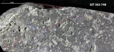 <i></i><br />Ohesaare cliff,  m, Ohesaare Stage