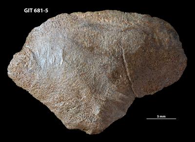 https://files.geocollections.info/large/e6/97/e69716bc-e4f3-422f-bdbf-be064b09c561.jpg