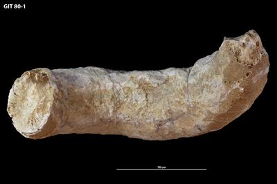 https://files.geocollections.info/large/e6/ab/e6abc862-92fc-4433-b30b-64a54539ac42.jpg