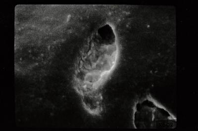 <i><i>Conochitina</i> | Conochitina sp. sp.</i><br />Ohesaare borehole, 202.80 m, Jaagarahu Stage (754-197)