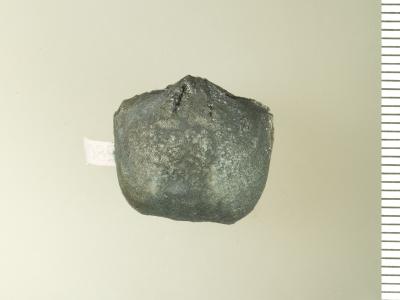 https://files.geocollections.info/large/e8/10/e810c21b-bda1-49f0-88cf-75546c3baba4.jpg