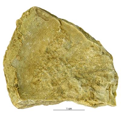 https://files.geocollections.info/large/e8/74/e874f79f-8d2a-4b22-8f0b-42884d0ef039.jpg
