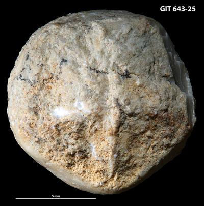 https://files.geocollections.info/large/e8/84/e88486ad-cd9e-4a3b-b3bd-c1f721a845ac.jpg