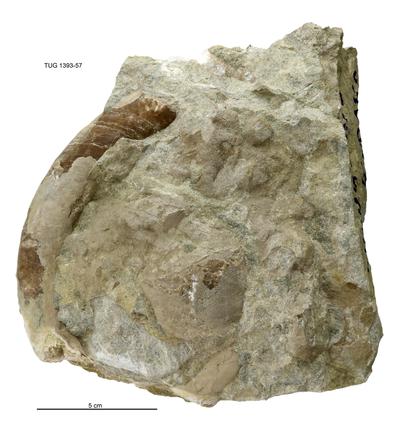 https://files.geocollections.info/large/e8/a2/e8a2e50c-5749-4ea2-a0a4-4fd043e37202.jpg