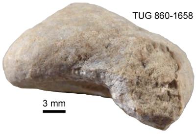 https://files.geocollections.info/large/e8/cd/e8cd7f46-aad4-4eff-875c-a4dcfa2cdb66.jpg