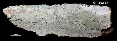 <i></i><br />Putilovo quarry, Leningrad Oblast,  m, Volkhov Stage