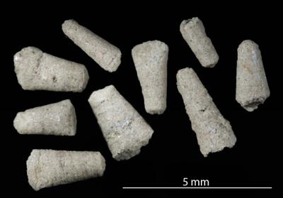 https://files.geocollections.info/large/e9/03/e9036427-5014-4a2c-b813-2b3550de3421.jpg