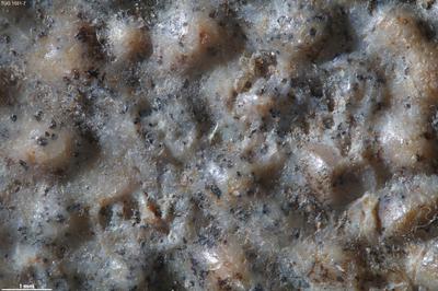 https://files.geocollections.info/large/e9/e4/e9e4ea0c-26d6-40cc-b716-f3cb50a053fd.jpg