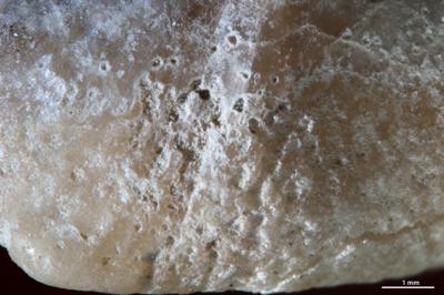 https://files.geocollections.info/large/ea/38/ea381c3e-0a06-45ef-be41-d4d83e04eeaa.jpg