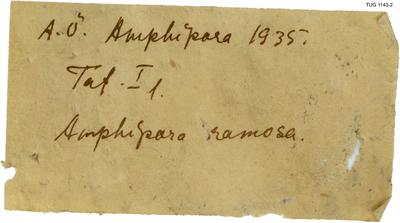 https://files.geocollections.info/large/ea/42/ea427ee6-aa19-4aeb-b719-2366a328a453.jpg