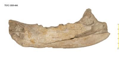 https://files.geocollections.info/large/ea/7f/ea7f1033-6923-4e61-a881-fcb89c634908.jpg