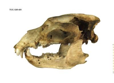 https://files.geocollections.info/large/ea/9c/ea9c0389-2415-4e46-b3a9-88da52c0418d.jpg