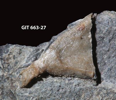 https://files.geocollections.info/large/ea/a4/eaa49a42-7c2d-4f28-b09e-dc668b7198e1.jpg