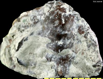 https://files.geocollections.info/large/eb/8d/eb8d7d1b-ebc0-4ffa-b436-ab8f093ce3a0.jpg