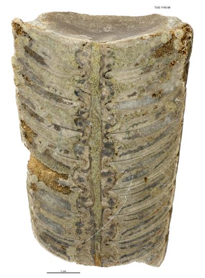 https://files.geocollections.info/large/eb/a4/eba4fe27-7977-48b0-a5bb-3b93f96946c8.jpg