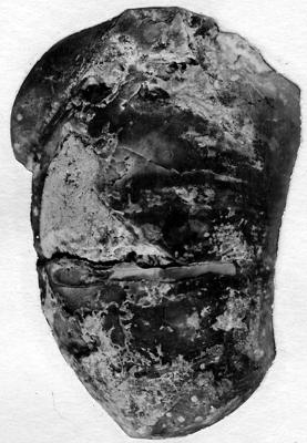 https://files.geocollections.info/large/eb/d9/ebd93e34-23a5-459d-bd1b-88f3cc91379d.jpg