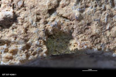 <i>Trypanites isp.</i><br />Sõmeru,  m, Keila Stage