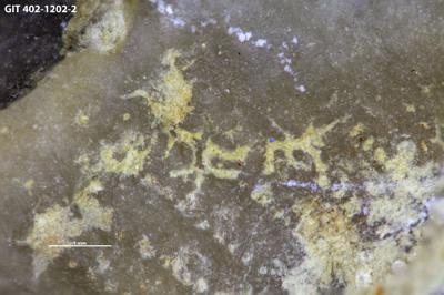 <i></i><br />Ilpla alvar,  m, Kuressaare Stage