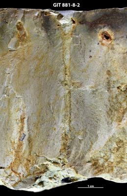 <i></i><br />Sutlema quarry,  m, 