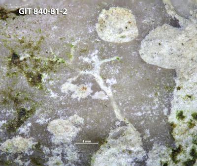 <i></i><br />Hosholm shore,  m, Pirgu Stage