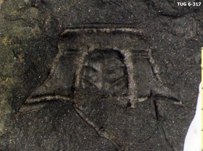 https://files.geocollections.info/large/ec/f0/ecf0c2a5-6085-45cd-a296-ab773fd02cfa.jpg