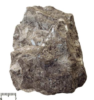 https://files.geocollections.info/large/ed/12/ed123a0a-1290-44ae-9007-41a94c0f85d8.jpg