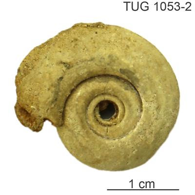 https://files.geocollections.info/large/ed/20/ed206461-87f7-410a-8ee2-a0479a7c8cdb.jpg