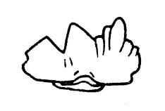 https://files.geocollections.info/large/ed/58/ed58059e-25ae-4f98-add1-569bcddb9970.jpg