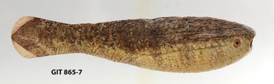 https://files.geocollections.info/large/ed/bb/edbb29cd-0a80-4c85-99c1-78c86dbc288e.jpg